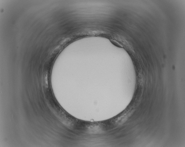 X0000068730358200605262031