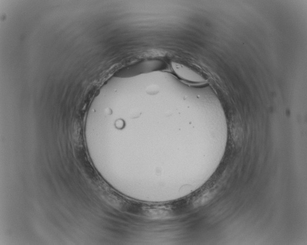 X0000068730359200605262031