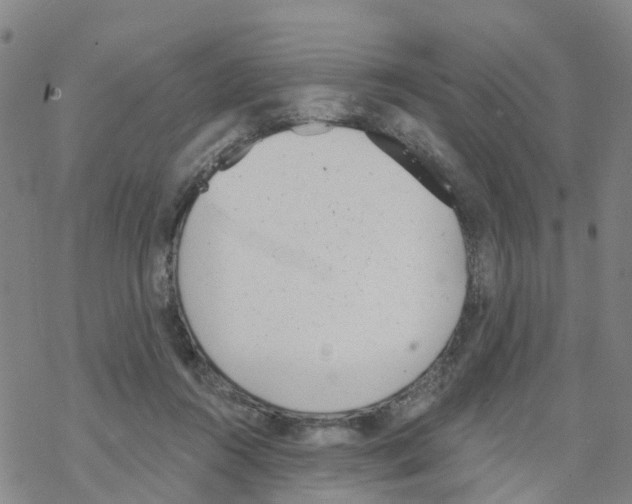 X0000068730360200605262031