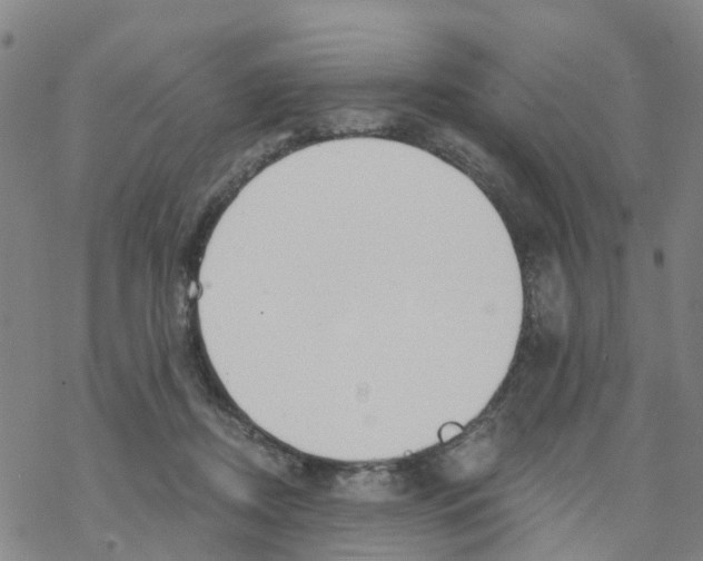 X0000068730362200605262031