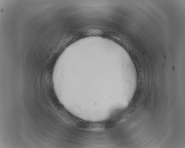 X0000068730363200605262031