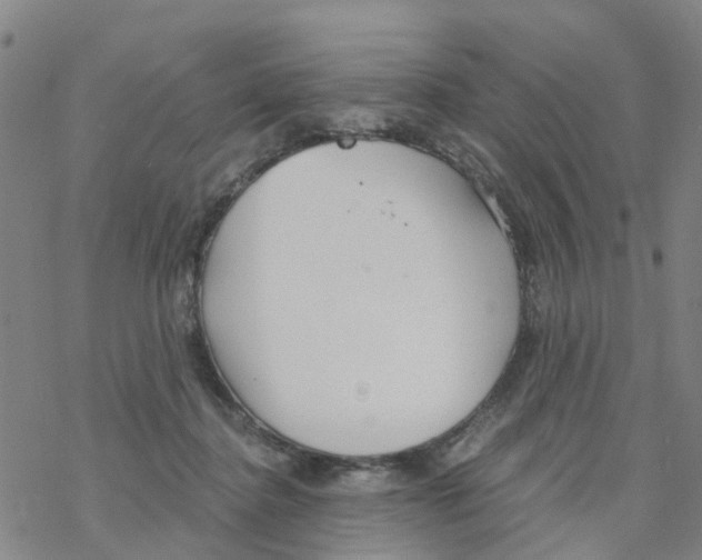 X0000068730364200605262031