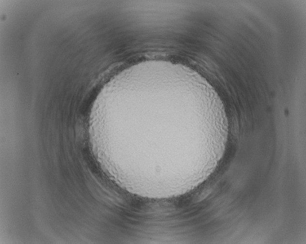 X0000068730367200605262032