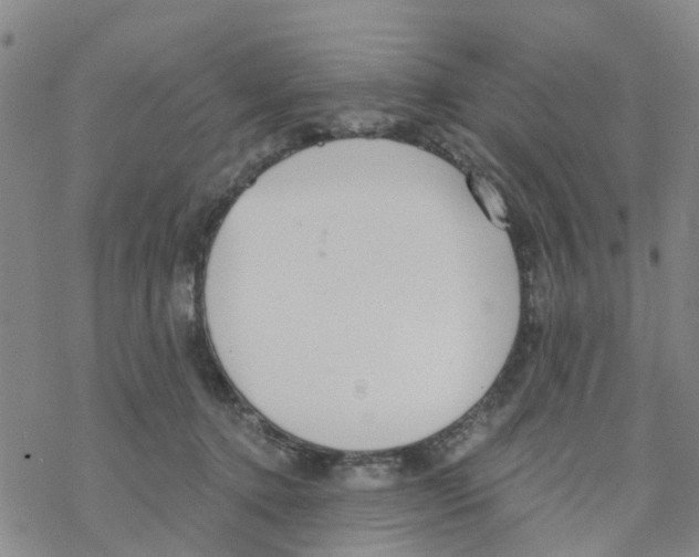 X0000068730368200605262032