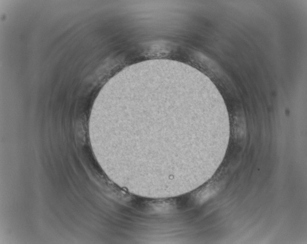 X0000068730370200605262032