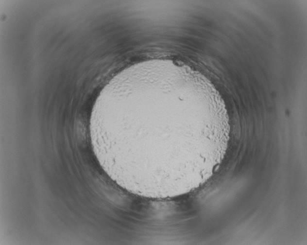 X0000068730371200605262032