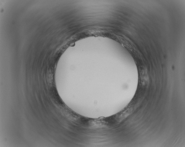 X0000068730372200605262032