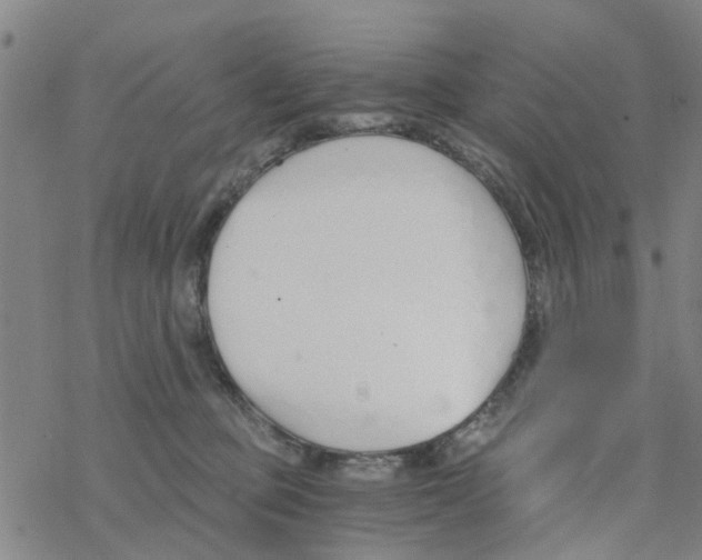 X0000068730373200605262032