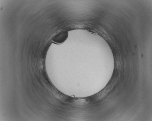 X0000068730374200605262032