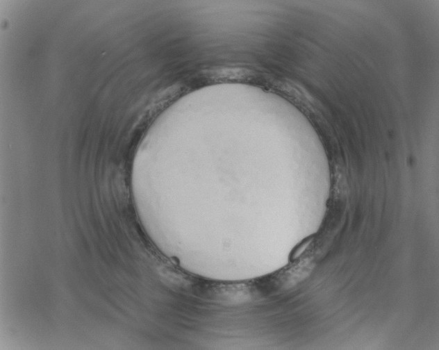 X0000068730377200605262032