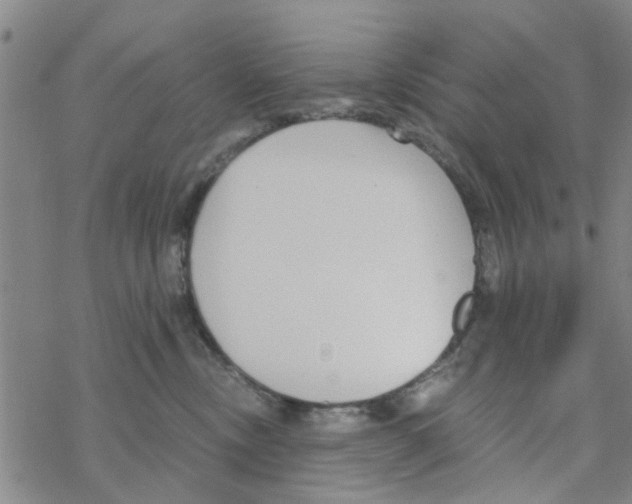 X0000068730378200605262032