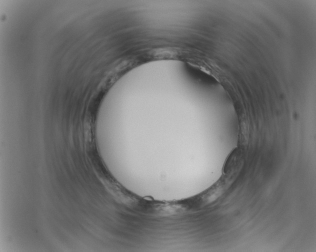 X0000068730379200605262032