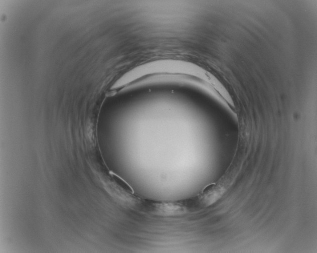 X0000068730380200605262032