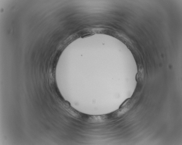 X0000068730381200605262032