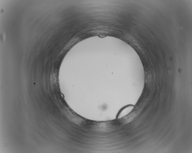 X0000068730382200605262032