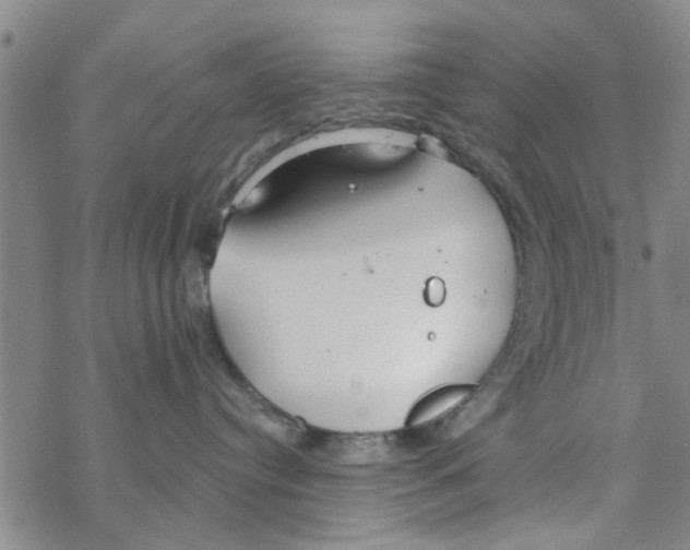 X0000068730384200605262032