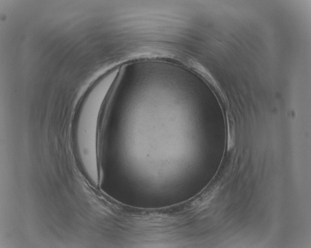 X0000068730387200605262031