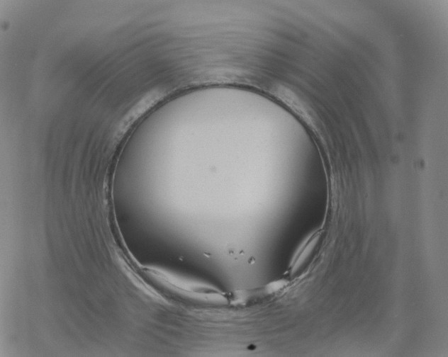 X0000068730389200605262031