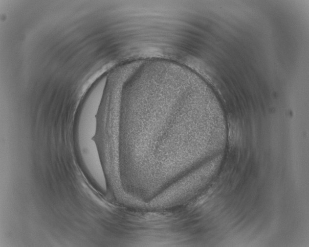 X0000068730390200605262031