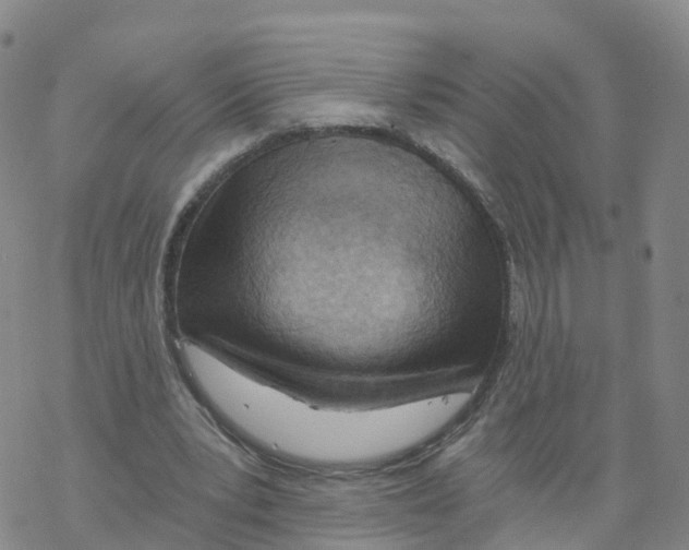 X0000068730391200605262031