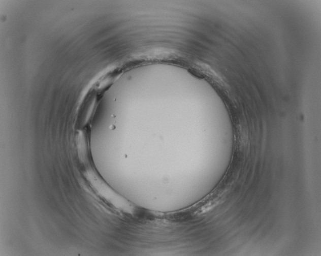 X0000068730392200605262031