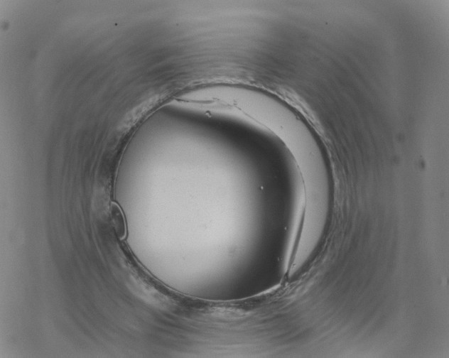 X0000068730393200605262031