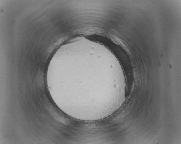 X0000068730394200605262031