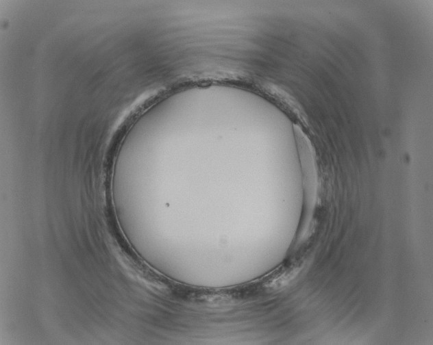 X0000068730395200605262031