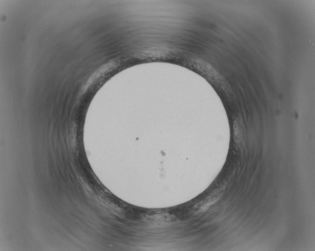 X0000068730396200605262031