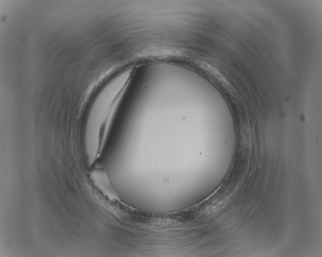 X0000068730399200605262031