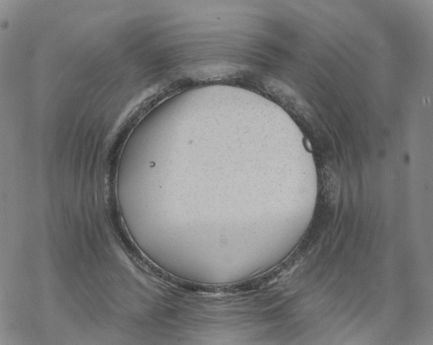 X0000068730400200605262031