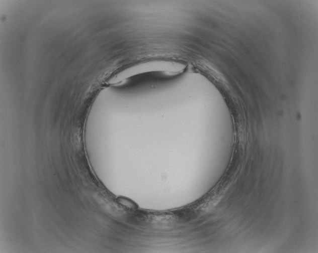 X0000068730401200605262031