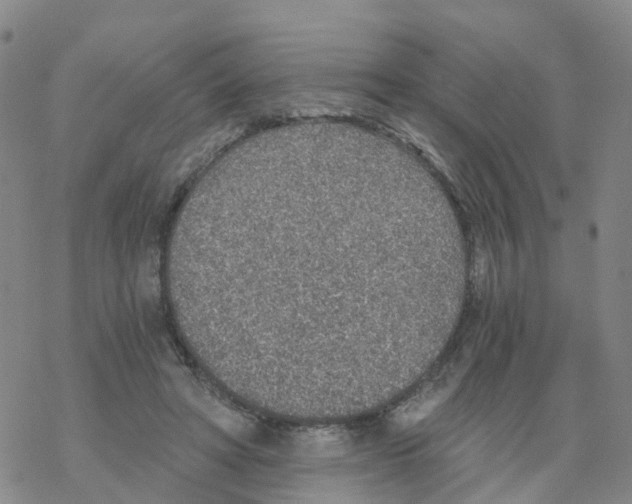 X0000068730402200605262031