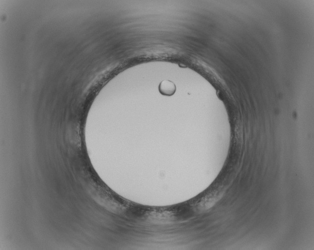 X0000068730403200605262031