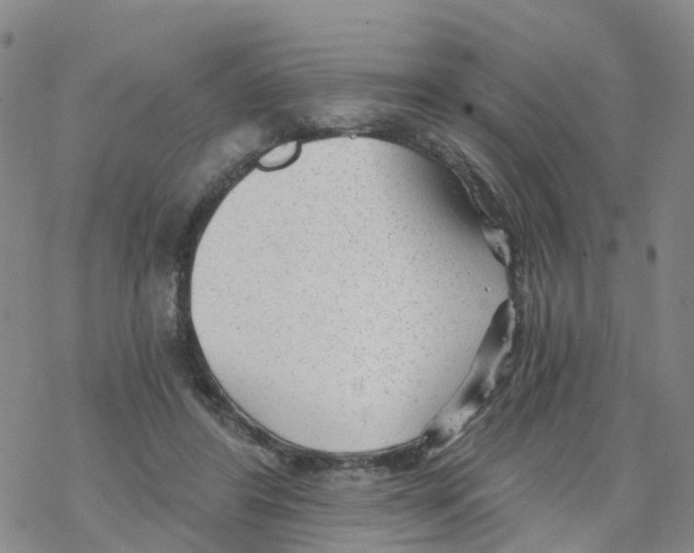 X0000068730404200605262031