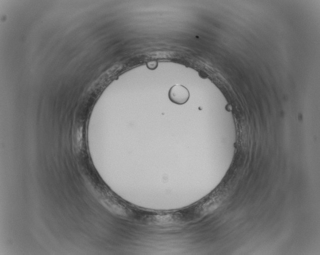 X0000068730406200605262031