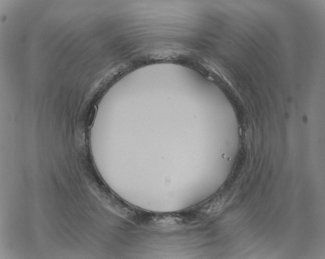 X0000068730407200605262031