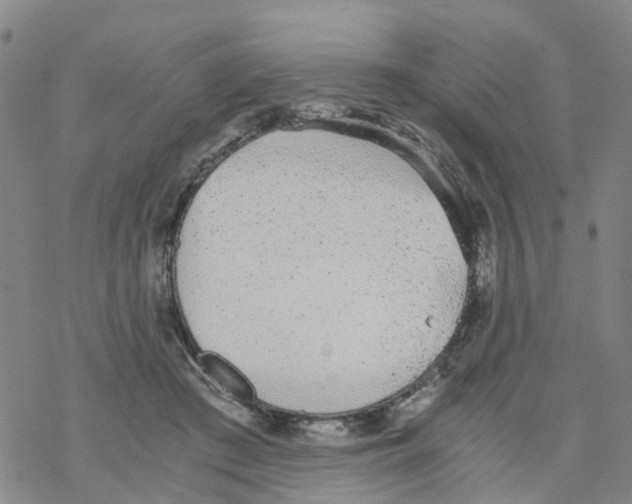 X0000068730409200605262031