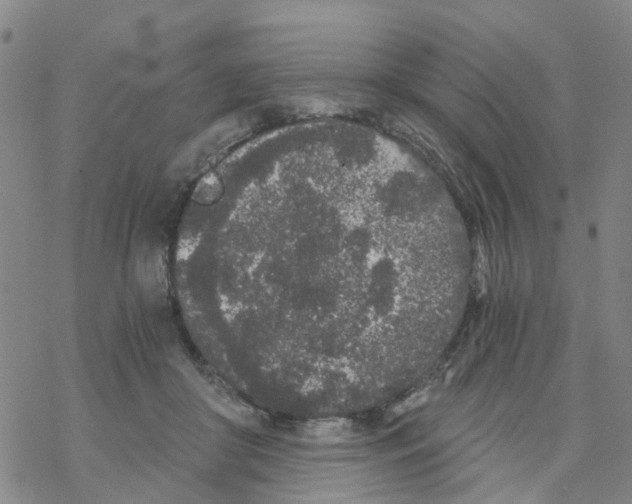 X0000068730410200605262031