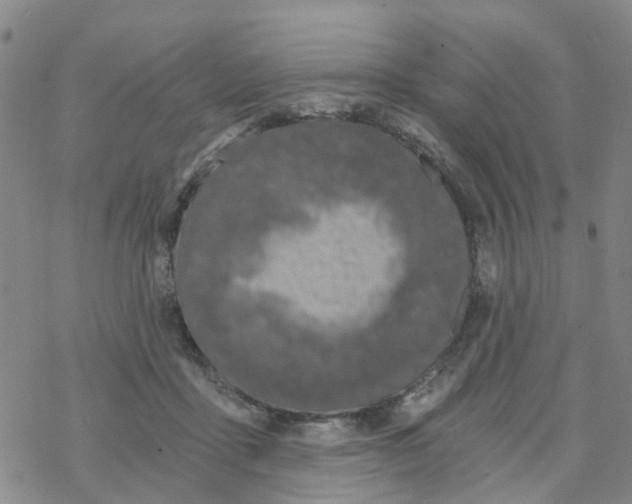 X0000068730411200605262031