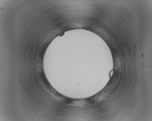 X0000068730414200605262031