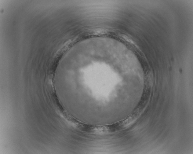 X0000068730415200605262031