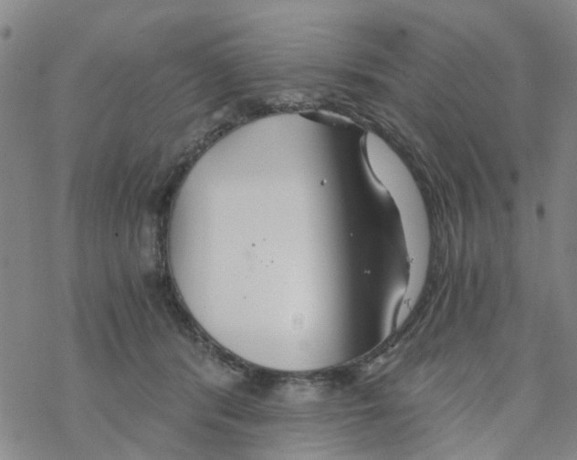 X0000068730416200605262031