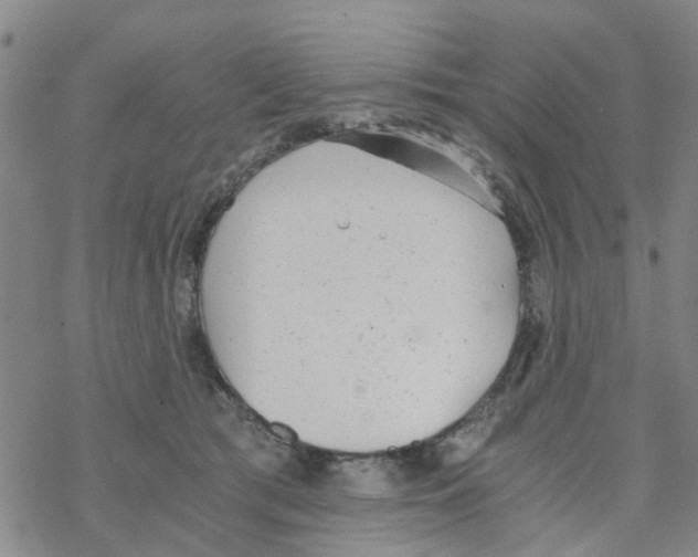 X0000068730417200605262030