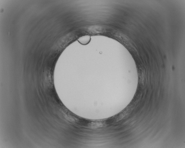 X0000068730418200605262030