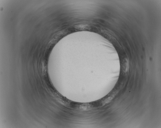 X0000068730420200605262030