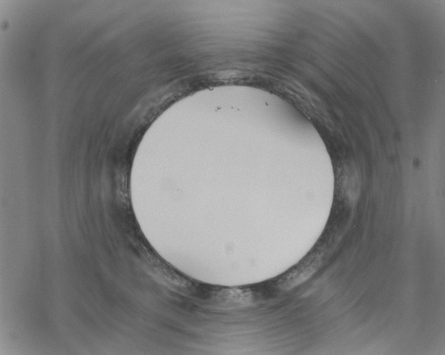 X0000068730421200605262030