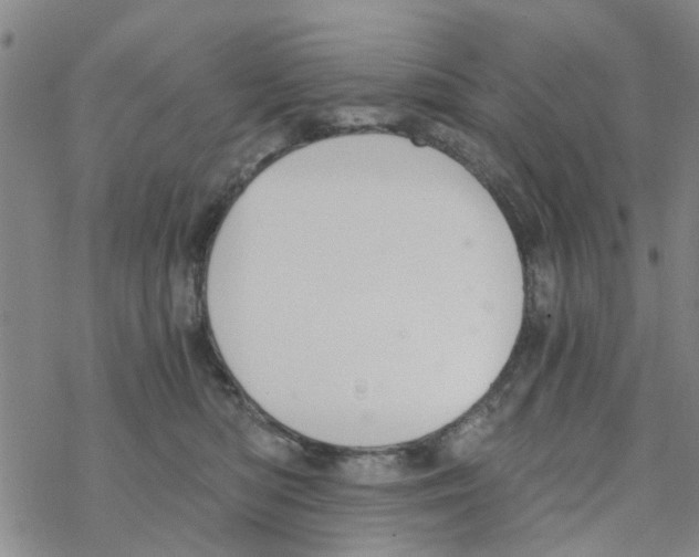 X0000068730422200605262030