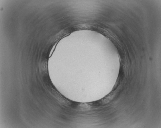 X0000068730425200605262030