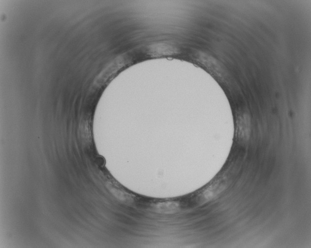 X0000068730426200605262030